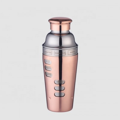 Factory Direct 700ml rose gold recipe stainless steel cocktail shaker oem